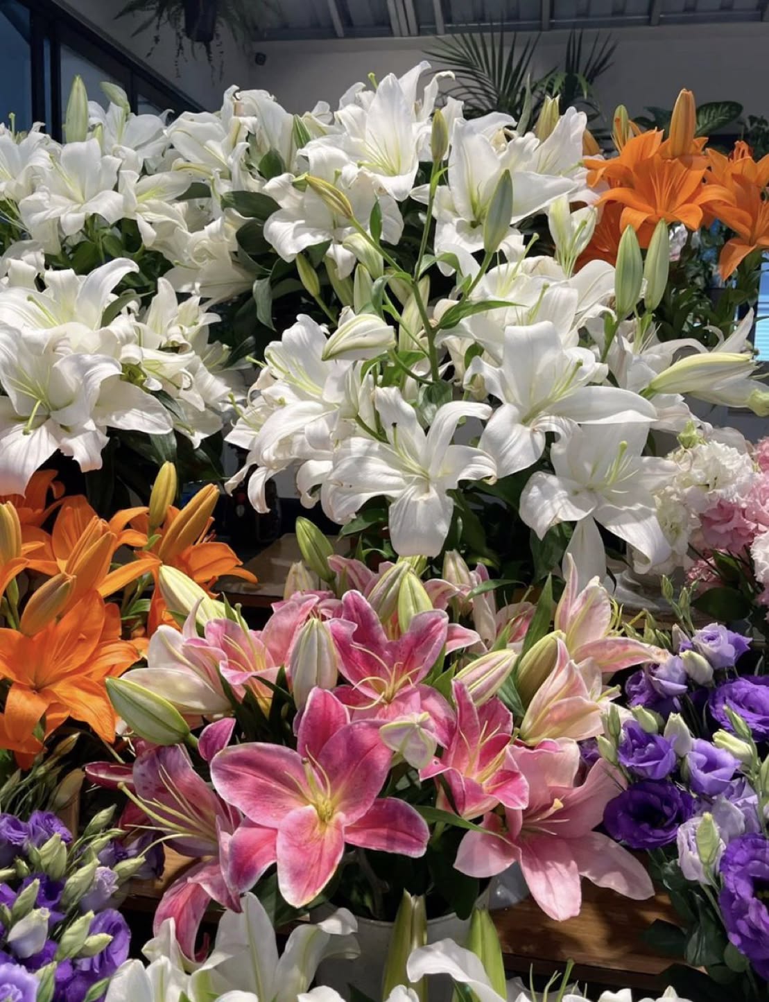 Bunga Lily
